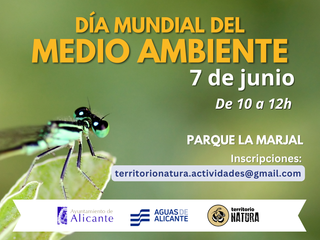 Ir a la noticia Ruta de observación de odonatos: libélulas y caballitos del diablo en el Parque La Marjal