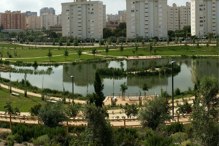 Ir a la noticia El Parque La Marjal, entorno de pruebas para dos proyectos de innovación aplicada a Soluciones Basadas en la Naturaleza